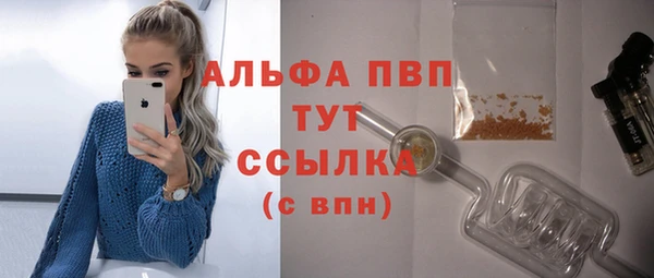 спайс Гусь-Хрустальный