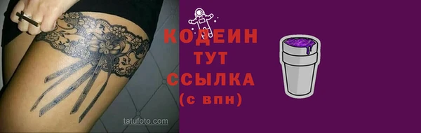 спайс Гусь-Хрустальный
