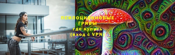 spice Гусиноозёрск