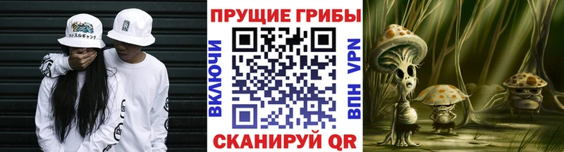 Купить закладки  Баймак  Псилоцибиновые грибы Psilocybine cubensis 
